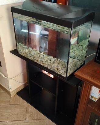 Acquario 