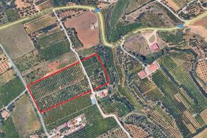 Terreno agricolo a Partinico, Contrada Corso