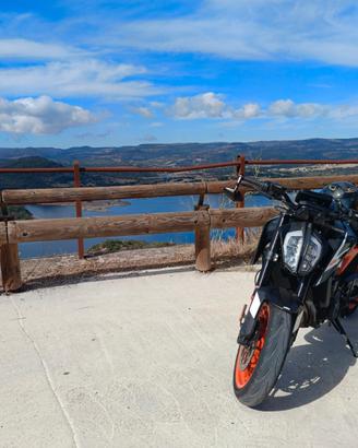 KTM DUKE 890 GP 