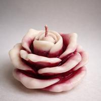 candela a forma di rosa bianca e rossa