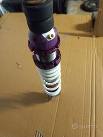 Paioli RS 24 piaggio