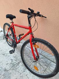 Bicicletta