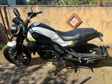 Benelli leoncino
