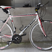 Bicicletta VEKTOR JANUS COMFORT 100 TG 52 (M)