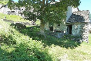 Rustico/Casale/Corte Masera [PelMas0719VRG]