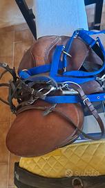 SELLA CAVALLO COMPLETA