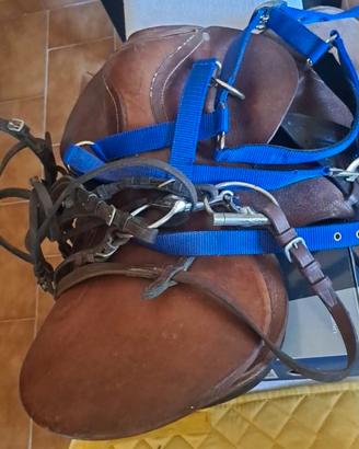 SELLA CAVALLO COMPLETA