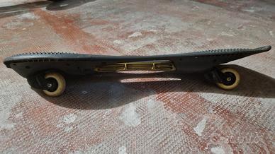 skateboard 2 ruote