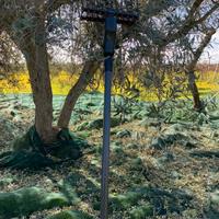 abbacchiatore castellari tornado