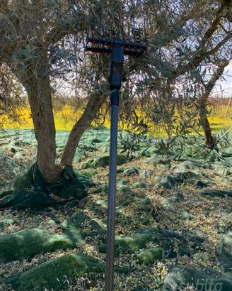 abbacchiatore castellari tornado