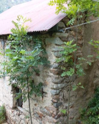 baita in montagna  