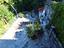 Immagine 14