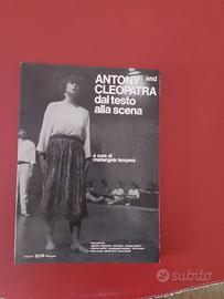 libro di letteratura 