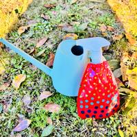 Annaffiatoio piccolo + spruzzino