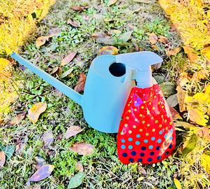 Annaffiatoio piccolo + spruzzino