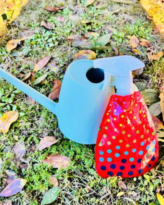 Annaffiatoio piccolo + spruzzino