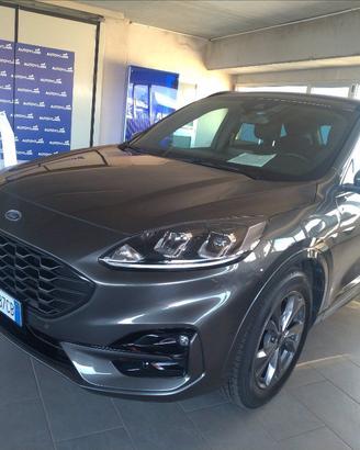 FORD Kuga 1.5 ecoboost ST-Line 2wd 150cv