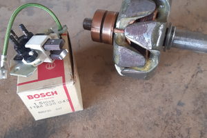 Rotore e portaspazzole