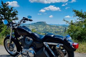 Harley-Davidson Sportster 883 Low 2009