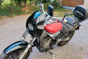 Beta Jonathan 350