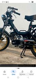 TELAIO COLLEGE RS MORINI 