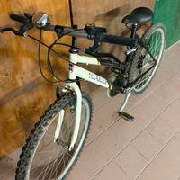 Bici mountain bike