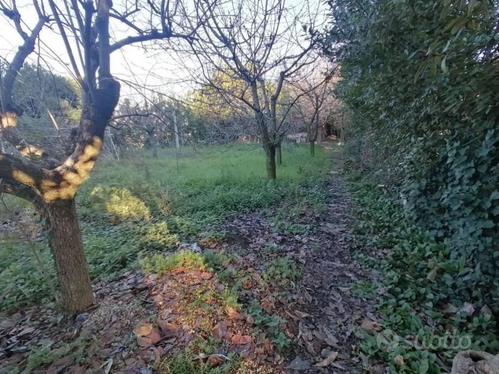 Immobile in asta di 514 m² a Grottazzolina - Vista 3