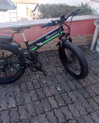 bicicletta elettrica 