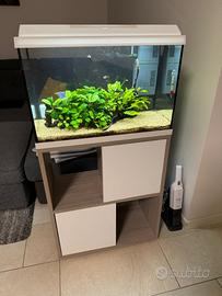Acquario Juwel Primo 60 Led + Mobile Iseo Trend