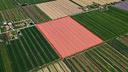 terreno-agricolo-5-ettari-fronte-strada