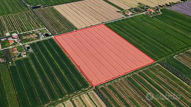 Terreno agricolo 5 ettari fronte strada