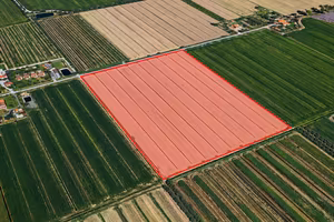 Terreno agricolo 5 ettari fronte strada