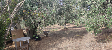 Terreno lanuvio (rm)