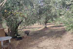 Terreno lanuvio (rm)