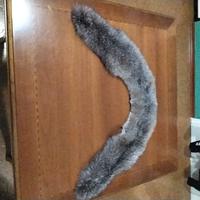 collo di Volpe argentata 