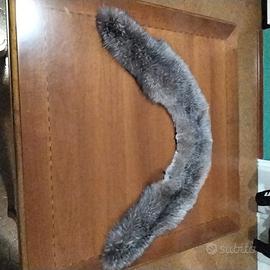 collo di Volpe argentata 