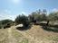 Immagine 23