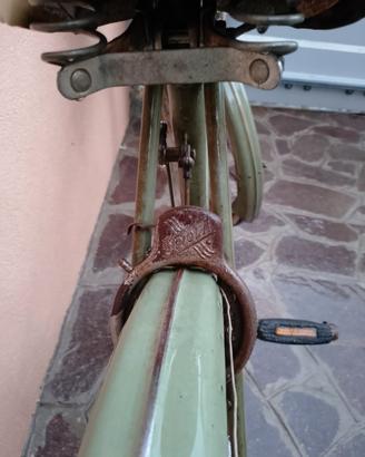 Bianchi 
