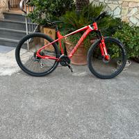 bici mtm quarX 29
