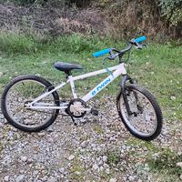 bici MTB racing boy 300 tg20