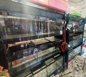 Strutture vasche per allevamento pesci tropicali 