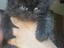 Immagine 5
