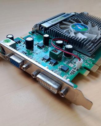 Scheda Video GeForce 8500 GT 1GB Point of View Ok