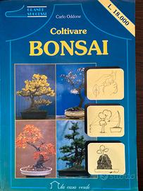 Coltivare bonsai