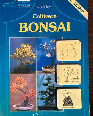 Coltivare bonsai