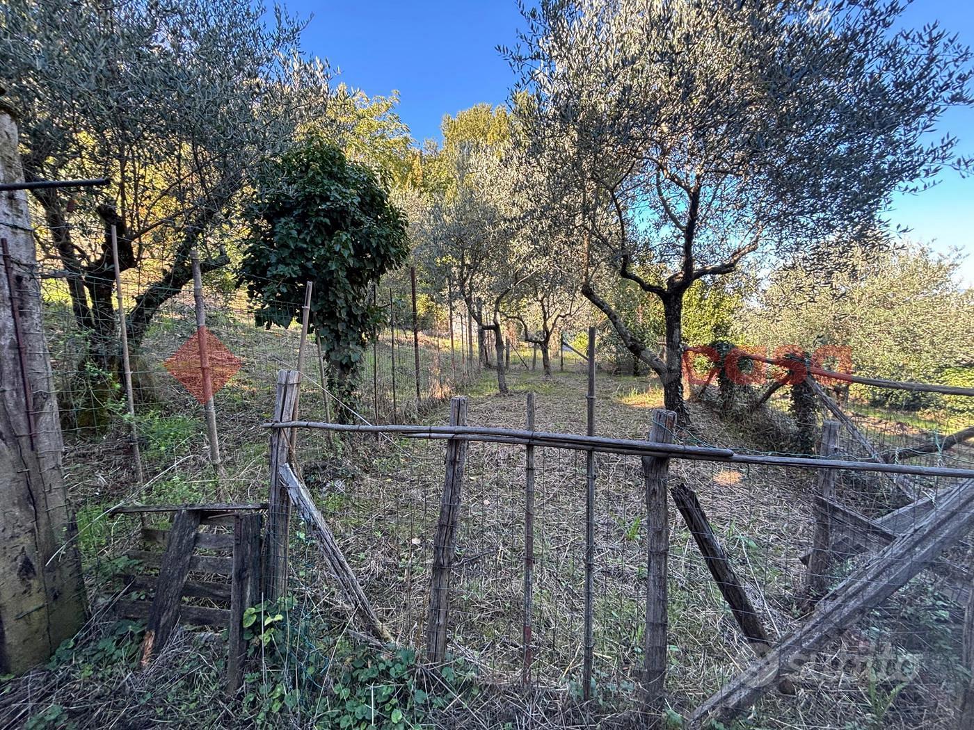 Terreno Agricolo Sgurgola [Cod. rif 3266439VCG] - Vista 5