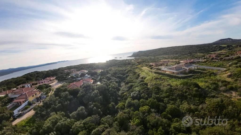 Immobile in asta di 3033 m² a Santa Teresa Gallura - Vista 5