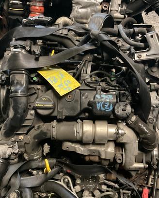 Motore FORD TZJA Ford 1.6