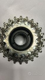 Ruota Libera/Pacco Pignoni Regina Synchro - 7 Velo