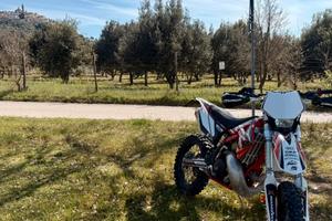 Gas gas 300